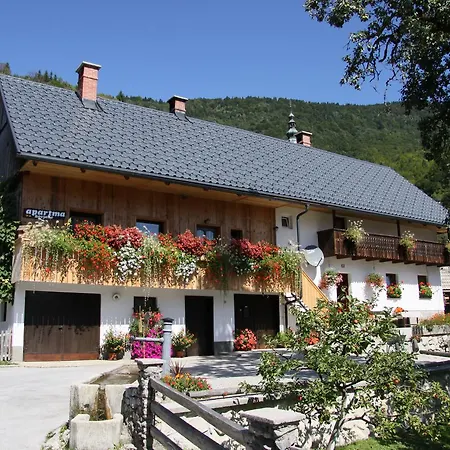 Apartament Kocjanc