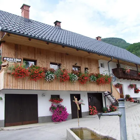 Kocjanc Apartman Bohinj