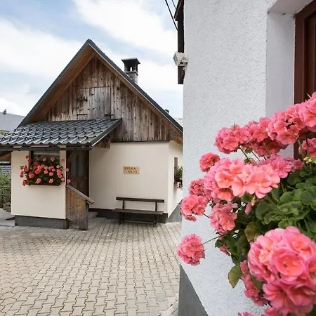 Kocjanc Διαμέρισμα Bohinj