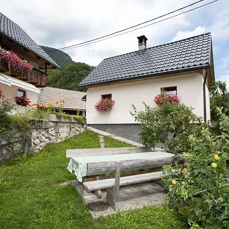 Kocjanc Apartament