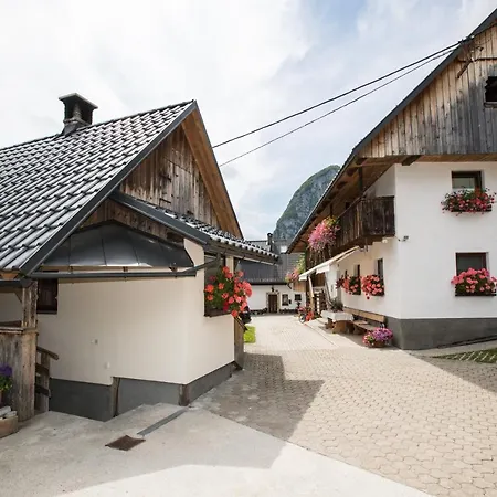 Apartman Kocjanc Bohinj