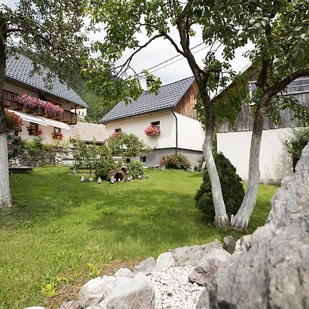 Appartamento Kocjanc Bohinj