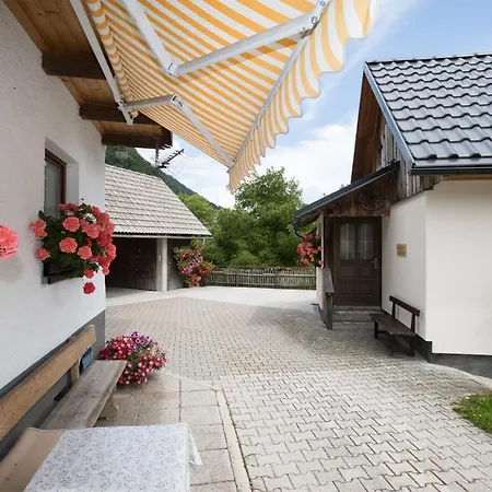Kocjanc Apartament