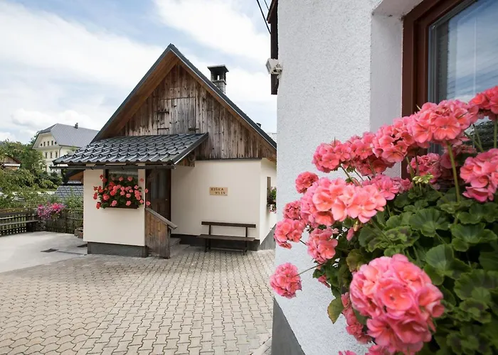 Kocjanc Apartman Bohinji-tó